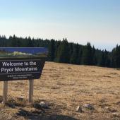 Pryor Mountains