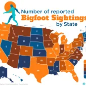Bigfoot sightings by state