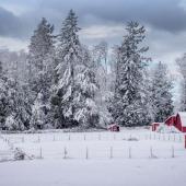 Snowy farm
