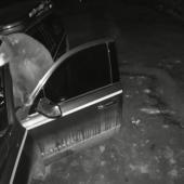 Big Sky Bear opens car door