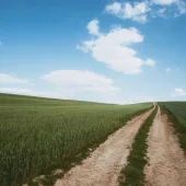 Dirt road through field