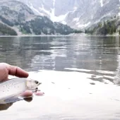 Fishing on the beartooth