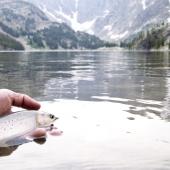 Fishing on the beartooth