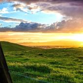 Fence sunset