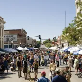 Chokecherry Festival