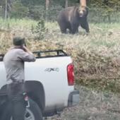 Mammoth Bear Charge 