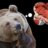 Bear dreams of meat