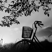 Old bicycle