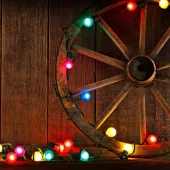 xmas lights 