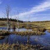 Powder River County