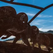 Bison Range