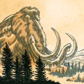 Mammoth Intro
