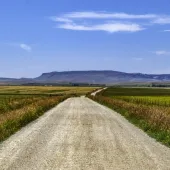 Wheatland County