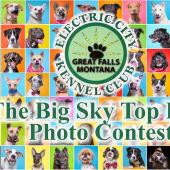 Big Sky Top Dog Photo Contest