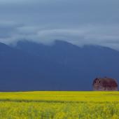 Montana Farm