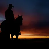 Cowboy