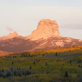 Chief Mountain