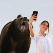 grizzly selfie