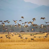 Teller Wildlife Refuge