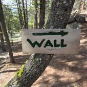Sage wall