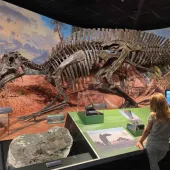 Museum
