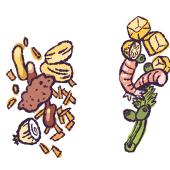 Recipes