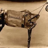 Comanche