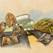 Turtles