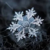 macro photo of snowflake