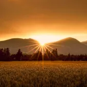Bitterroot sunrise