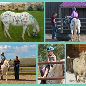 Dunrovin Ranch