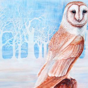 barn owl painting