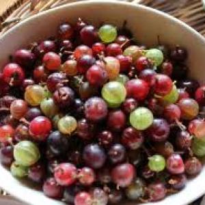 gooseberries