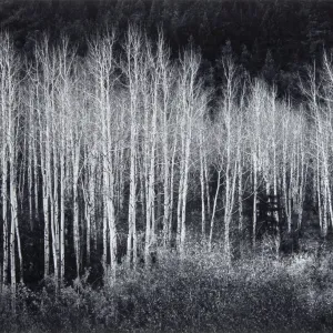 Glacier National Park  Ansel Adams