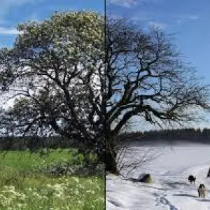 winter in Montana