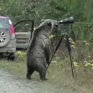 using a tripod