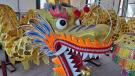 Chinese dragon on display at Mai Wah Society, Butte, MT