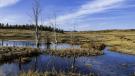 Powder River County