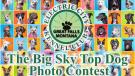 Big Sky Top Dog Photo Contest