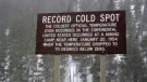 Cold