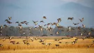 Teller Wildlife Refuge
