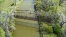 Milk River Bridge