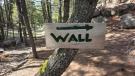 Sage wall