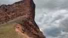 wilderness