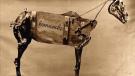 Comanche